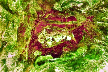 A 267A